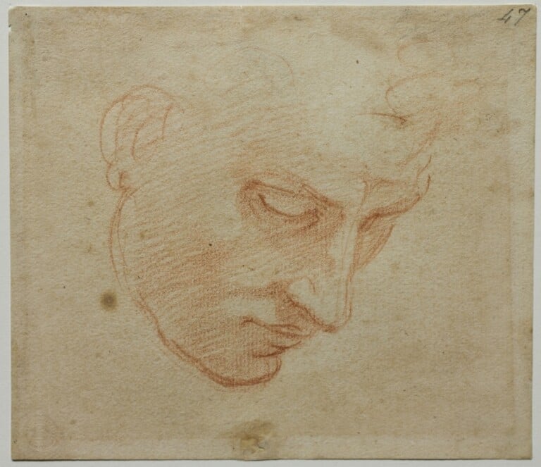 Michelangelo Buonarroti, Studio di testa per il “Diluvio” per la Volta Sistina, 1509-1510 circa matita rossa, 125 × 142 mm, Firenze, Casa Buonarroti, inv. 47 F © Associazione MetaMorfosi, Roma. Ph. Massimo Menghini