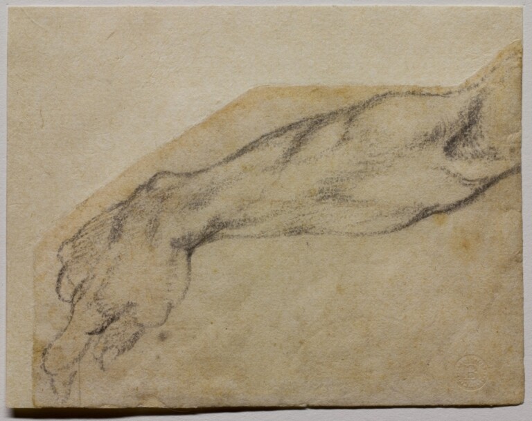 Michelangelo Buonarroti, Studio di un braccio per una figura nella Volta Sistina, 1509-1510 circa matita nera, 98 × 131 mm, Firenze, Casa Buonarroti, inv. 8 F © Associazione MetaMorfosi, Roma. Ph. Massimo Menghini