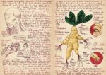 Note dal libro Sketchbook di Guillermo del Toro