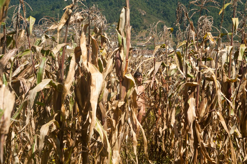 Regina José Galindo, Mazorca, 2014. Photograph, glossy print on dibond, 150 x 100 cm. Courtesy the artist and Prometeo Gallery Ida Pisani, Milan- Lucca