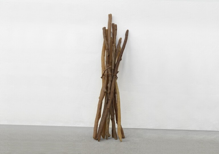 Silvano Tessarollo, La memoria della natura, cera, rami d’albero e giunco, 133x30x40 cm, 2019