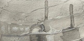 Andrea Liberovici, dettaglio della copertina de Il libro dei suoni n°1. Veneziacustica, courtesy dell'artista