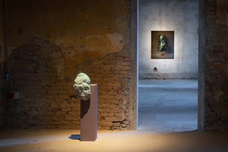 Enrico Minguzzi, La piena dell'occhio, exhibition view at ex convento di San Francesco, Bagnacavallo, 2022