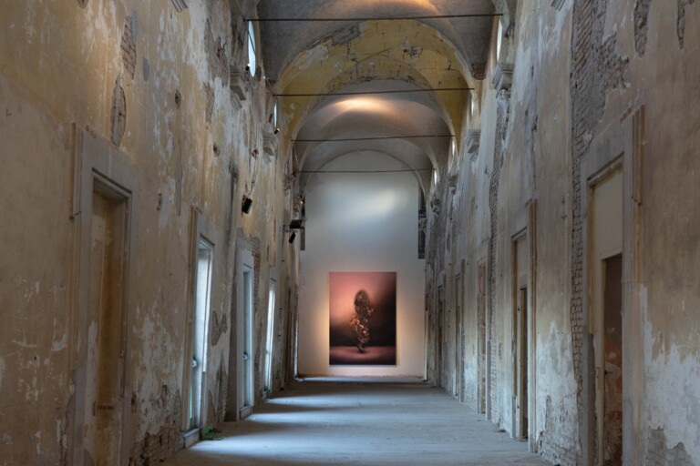 Enrico Minguzzi, La piena dell'occhio, exhibition view at ex convento di San Francesco, Bagnacavallo, 2022