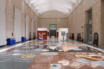 Animali, Vegetali, Rocce e Minerali: le Collezioni ISPRA > Verso un museo multispecie, Museo delle Civiltà di Roma. Ph. Giorgio Benni