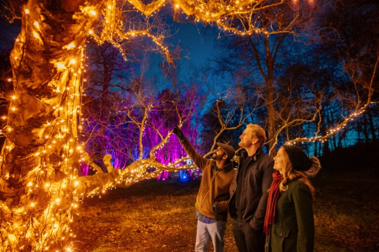 Incanto di Luci Incanto di Luci: all’Orto Botanico di Roma arriva la mostra sensoriale di Light Art