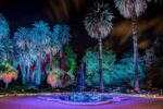 Incanto di luci 2022 1 Incanto di Luci: all’Orto Botanico di Roma arriva la mostra sensoriale di Light Art