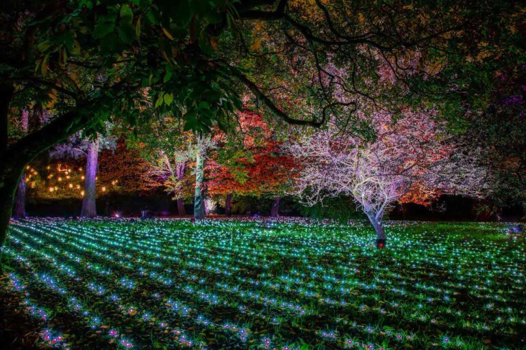 Incanto di luci 2022 5 Incanto di Luci: all’Orto Botanico di Roma arriva la mostra sensoriale di Light Art
