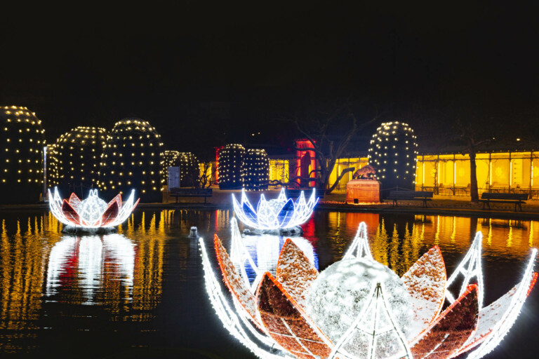 Installazioni luminose floreali a pelo dacqua Incanto di Luci: all’Orto Botanico di Roma arriva la mostra sensoriale di Light Art