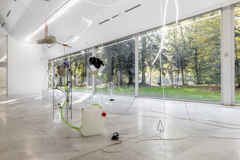 Japan, installation view at PAC, Milano, 2022. Photo Claudio Bettio Vulcano