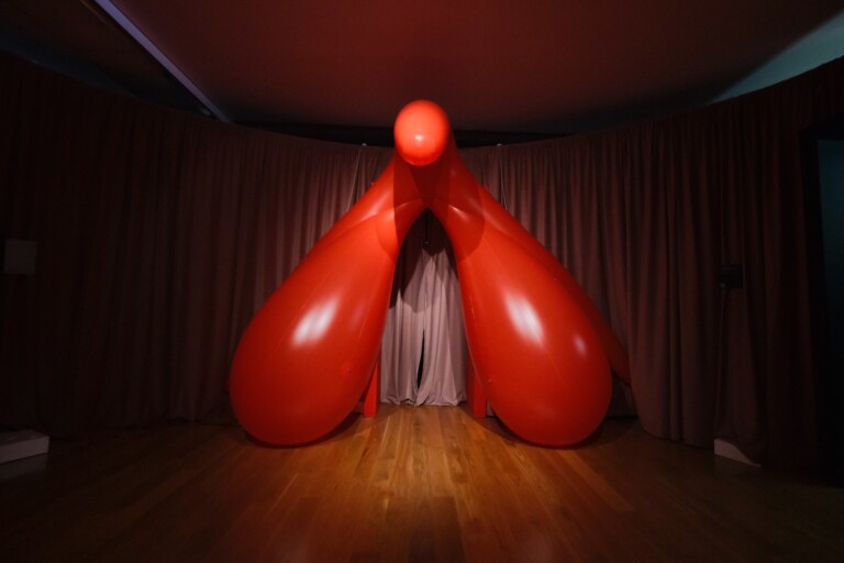 Julia Petri, Amor Veneris, exhibition view at Museo Pedagogico Do Seixo, Oeiras, 2022. Photo Os Espacialistas