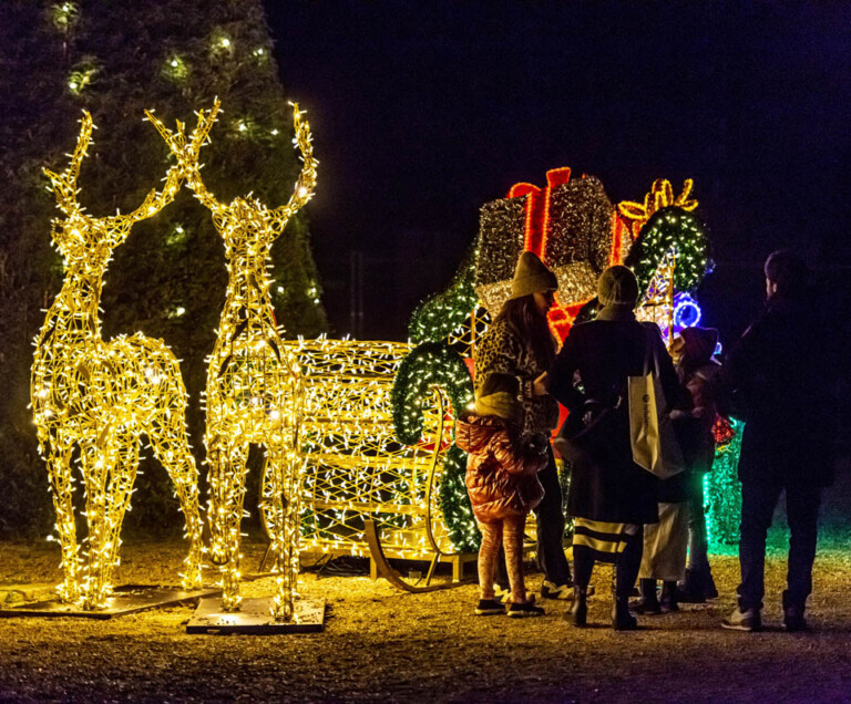 La slitta luminosa di Babbo Natale Incanto di Luci: all’Orto Botanico di Roma arriva la mostra sensoriale di Light Art