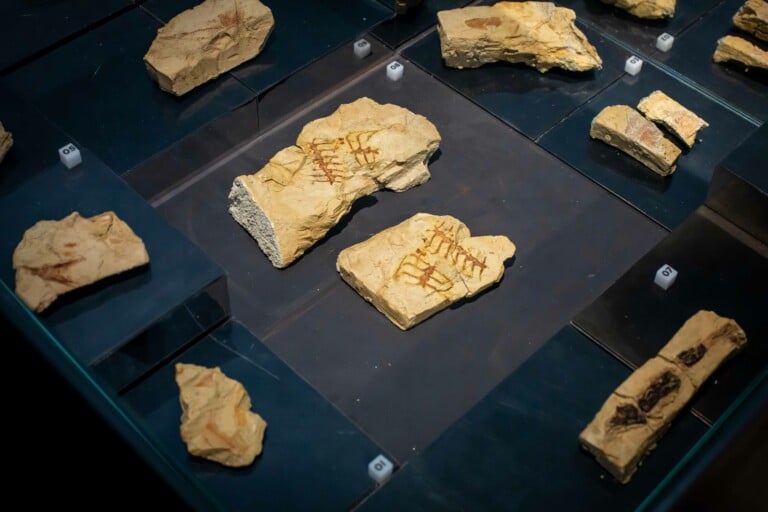 Museo archeologico di Matera, detail
