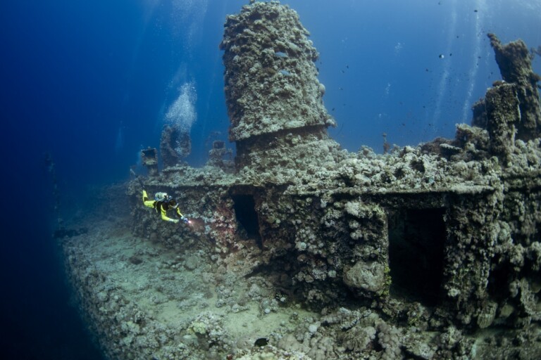 Osama Ali Abusunnon, The Kingdom Photography Discovery Competition Underwater Category Winner, 2022