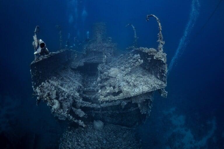 Osama Ali Abusunnon, The Kingdom Photography Discovery Competition Underwater Category Winner, 2022