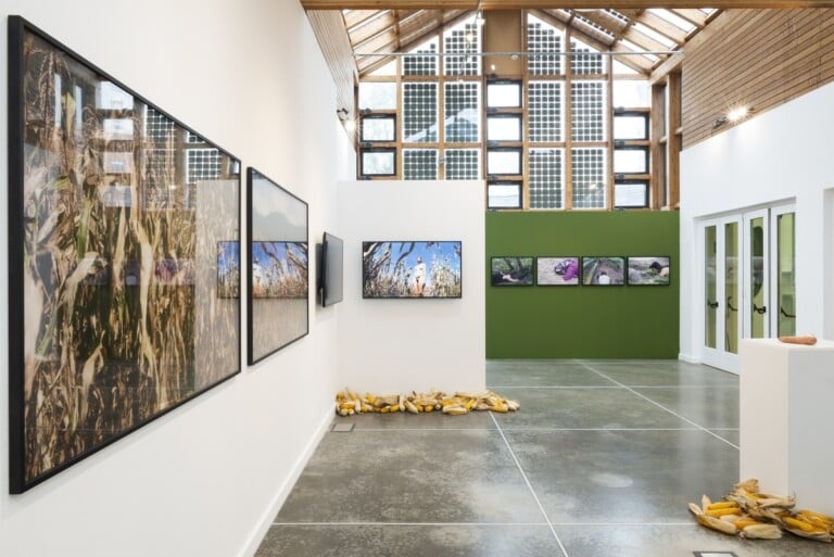 Regina José Galindo, Tierra. Installation view at PAV - Parco Arte Vivente, Torino, 2022. Photo Francesca Cirilli, courtesy PAV - Parco Arte Vivente, Torino