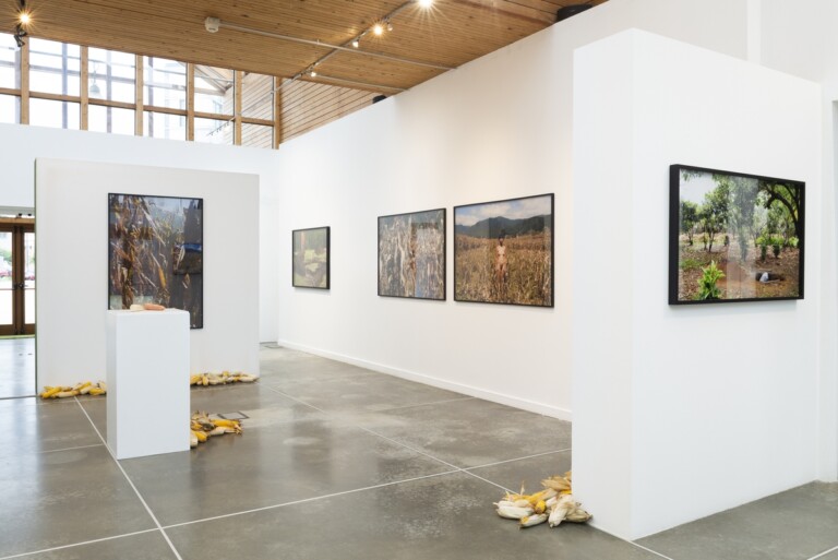 Regina José Galindo, Tierra. Installation view at PAV - Parco Arte Vivente, Torino, 2022. Photo Francesca Cirilli, courtesy PAV - Parco Arte Vivente, Torino