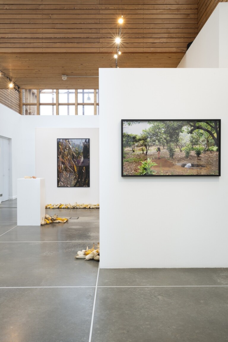 Regina José Galindo, Tierra. Installation view at PAV - Parco Arte Vivente, Torino, 2022. Photo Francesca Cirilli, courtesy PAV - Parco Arte Vivente, Torino