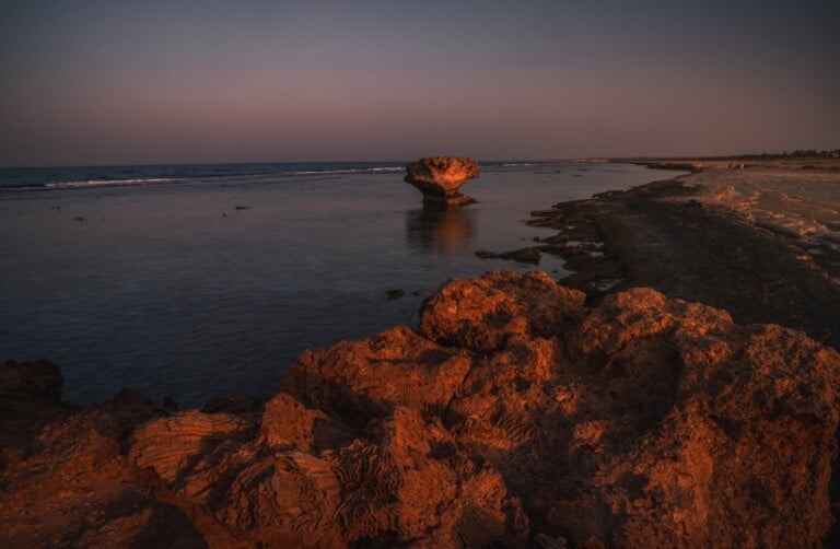 Riyadh Abdulelah Al Malahi, The Kingdom Photography Discovery Competition Nature Along the Coast Category Winner, 2022