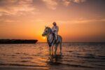 Riyadh Abdulelah Al Malahi, The Kingdom Photography Discovery Competition Nature Along the Coast Category Winner, 2022