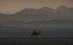 Riyadh Abdulelah Al Malahi, The Kingdom Photography Discovery Competition Nature Along the Coast Category Winner, 2022