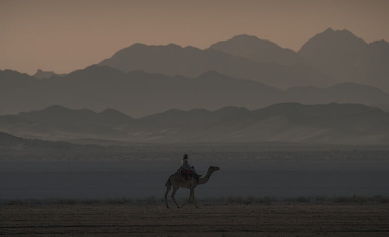 Riyadh Abdulelah Al Malahi, The Kingdom Photography Discovery Competition Nature Along the Coast Category Winner, 2022