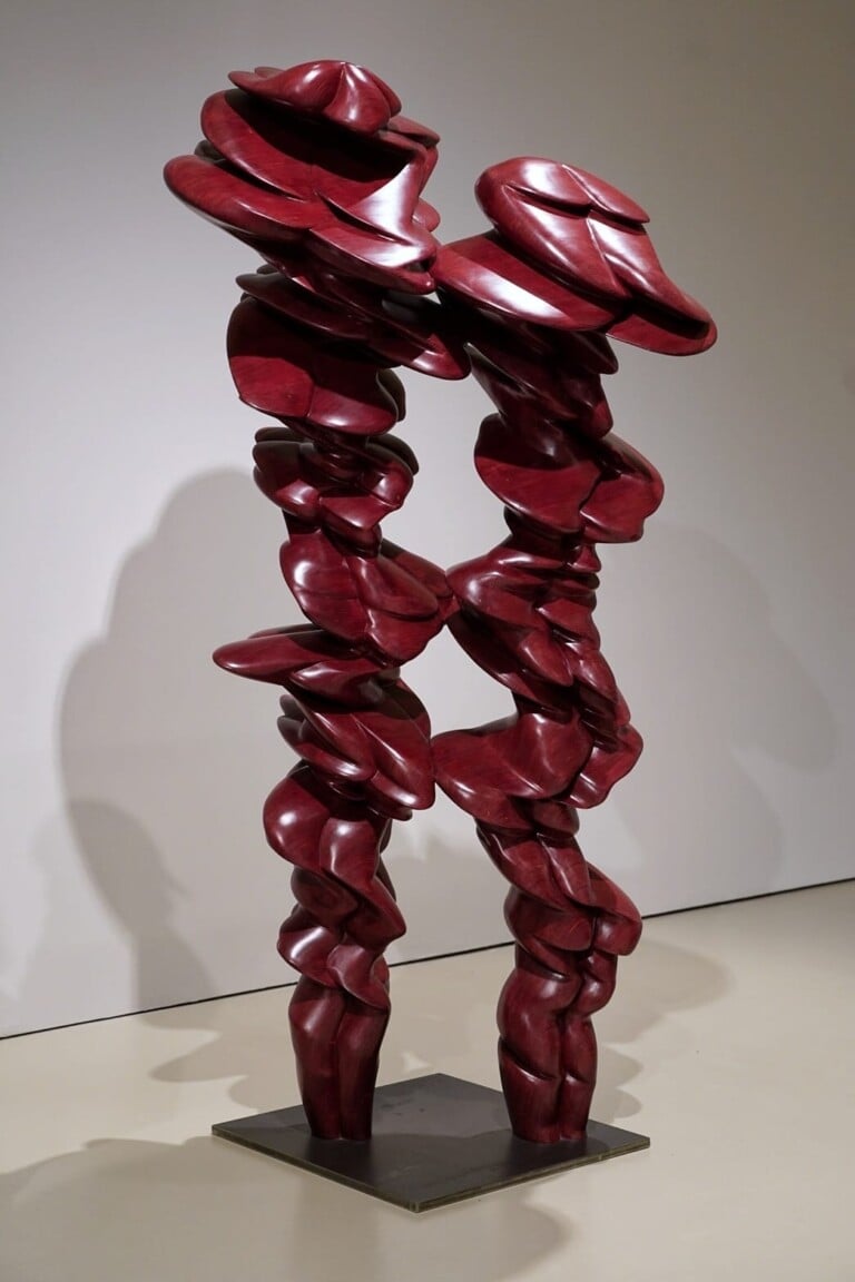 Tony Cragg, Transfer, exhibition view at Museo Novecento, Firenze, 2022. Photo Alessandra Cinquemani