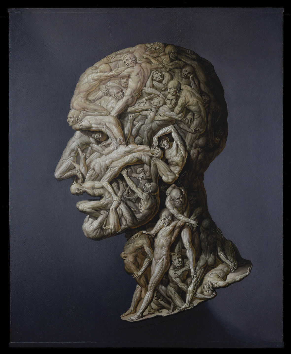 Filippo Balbi, Testa anatomica