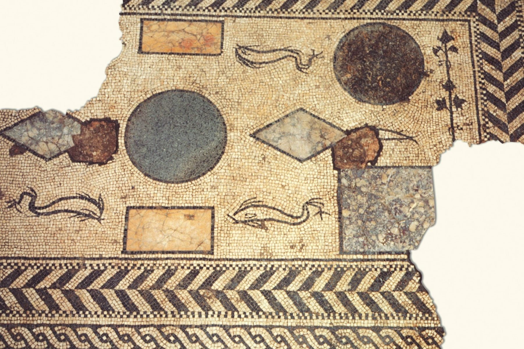 Domus Romana, mosaico, Asti