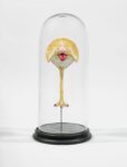 Jan Fabre, Belgian anus horseshoe crab (2018) legno, pigmenti, polimerato, metallo, vetro, guscio, 42,8 x 20,4 x 20,4 cm