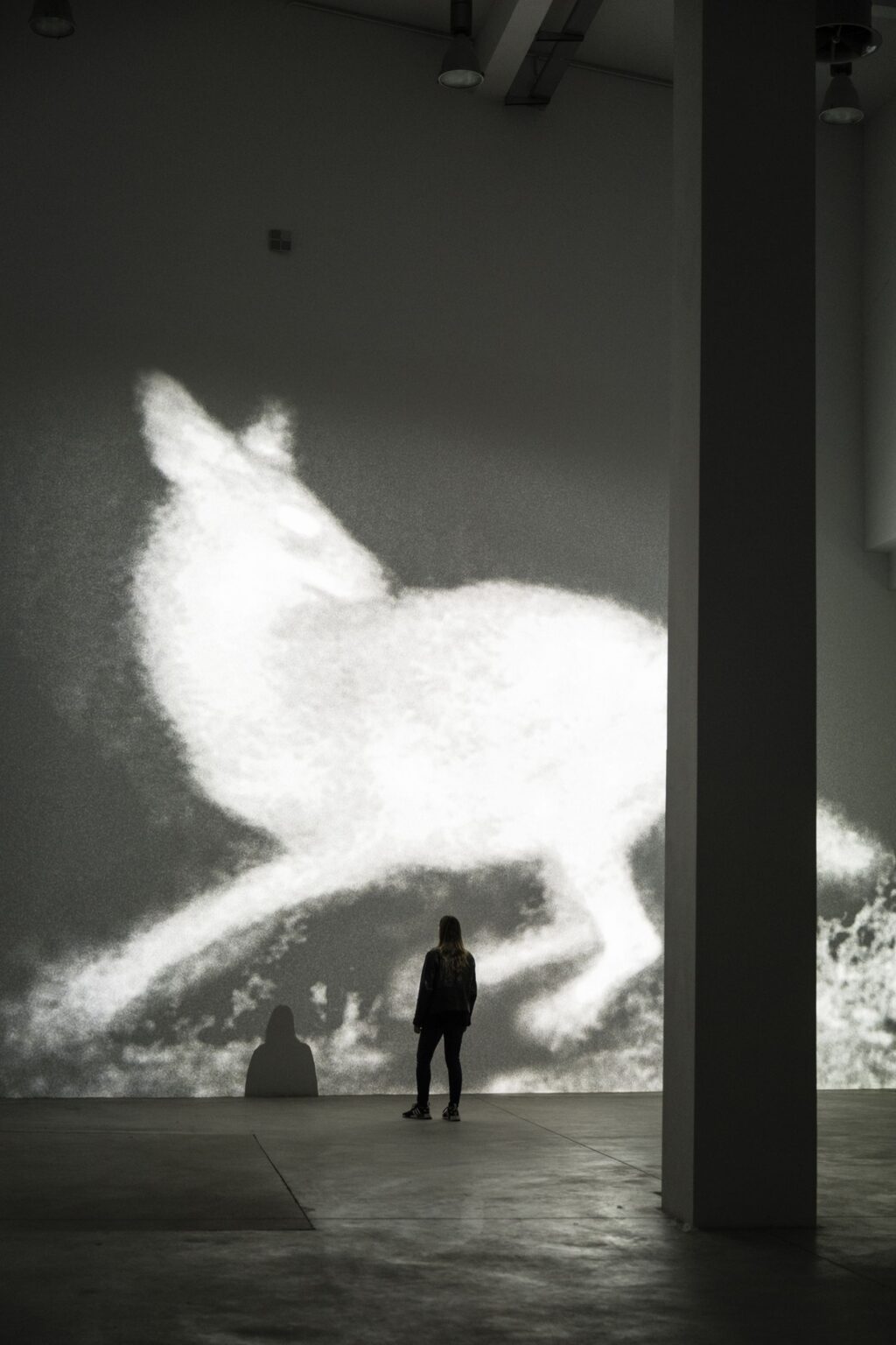 Michal Rovner alla Fondazione Merz di Torino | Artribune