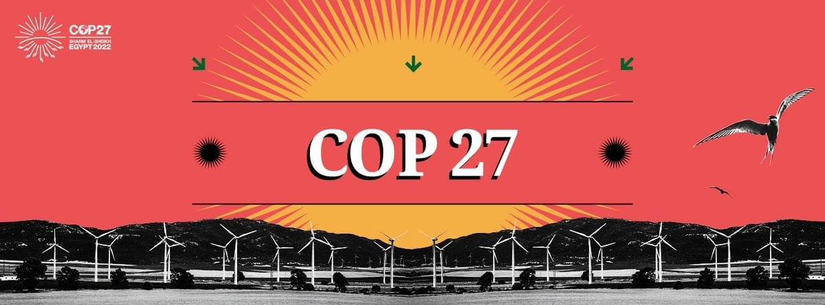 COP 27