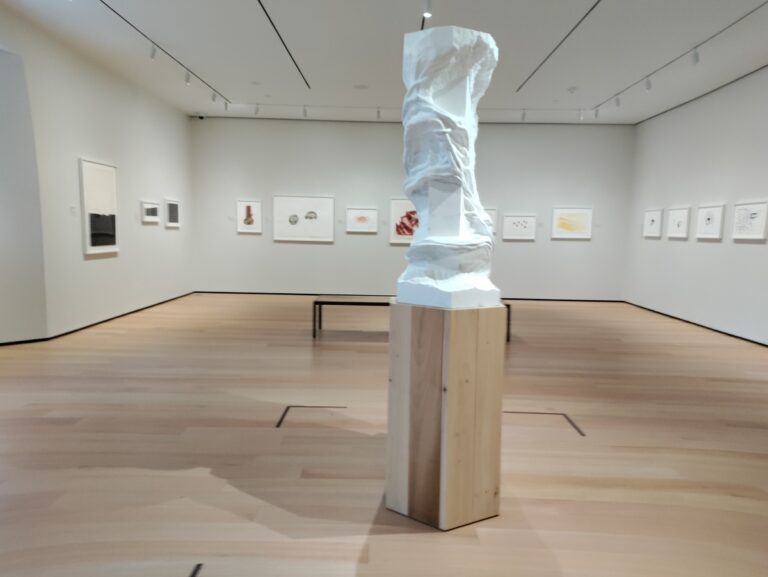 River of Forms. Giuseppe Penone's drawings, installation view at Philadelphia Museum of Art, Philadelphia, 2023, photo Maurita Cardone