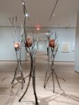 River of Forms. Giuseppe Penone's drawings, installation view at Philadelphia Museum of Art, Philadelphia, 2023, photo Maurita Cardone