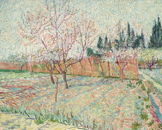 Vincent van Gogh, Verger avec cyprès, 1888