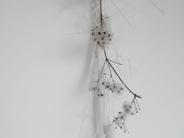 Giammarco Cugusi, Clematis Vitalba, Art Studio Finestreria, Milano. Ph. Paola Ristoldo