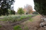 Redentore, Venezia, Orto Giardino. Photo Cynthia Giard Préfontaine, 2022