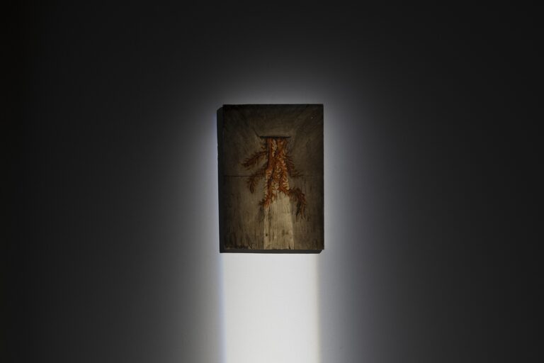 Andreas Zampella, Passaggio al buio, 2022, foto Carlo Romano, courtesy Fondazione La Quadriennale di Roma