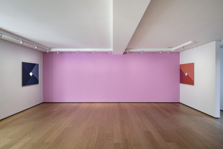 Sean Shanahan, Cuore a fette, installation view at Building Gallery, Milano, 2023. Photo Luca Casonato