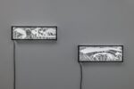Hic sunt dracones, installation view at GAM Torino, 2022. Photo Roberto Marossi
