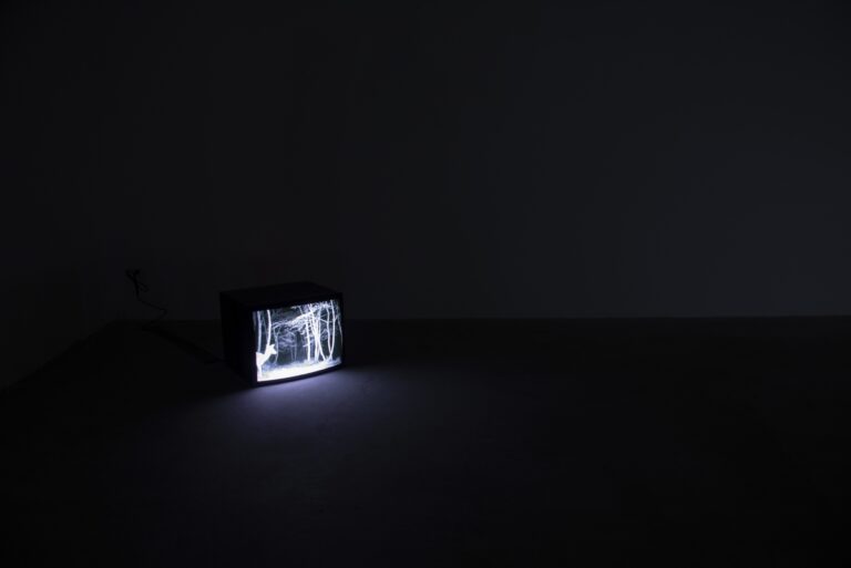 Ivan Terranova, Fabula, 2022, installation view