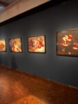Nan Goldin Käthe Kollwitz Preis 2022, installation view at Akademie der Künste, Berlino, 2023