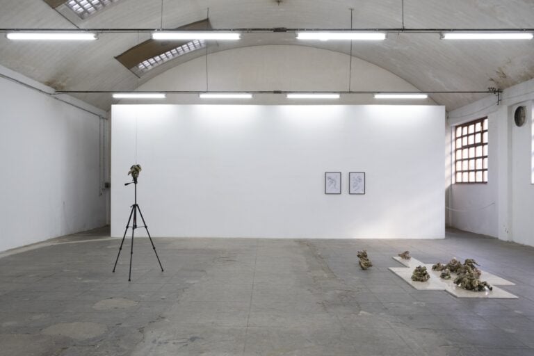 OCCHIO OCCHI, installation view, Francesco Surdi (credits Adriano La Licata)