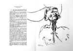 SMENS n. 2, xilografia di Gianfranco Schialvino