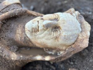 Dall’Ercole della Via Appia alla mummia in Egitto. Le scoperte archeologiche di gennaio 2023