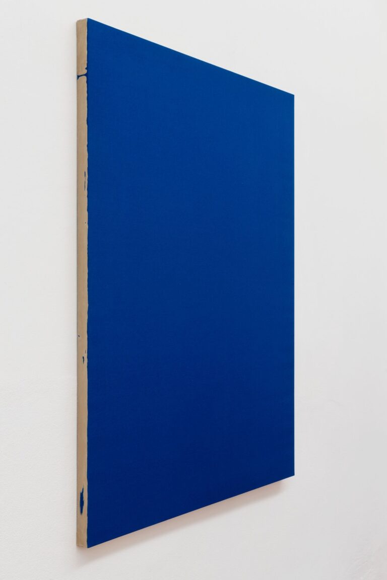 Tela su stoffa fondo blu, 2022, courtesy Galleria Fuoricampo, foto Ela Bialkowska, OKNOstudio