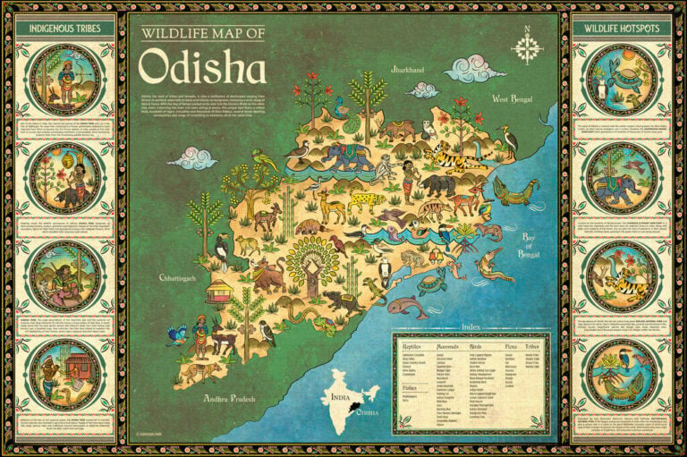 Sudarshan Shaw, Mappa della faina dell’Orissa, 2022