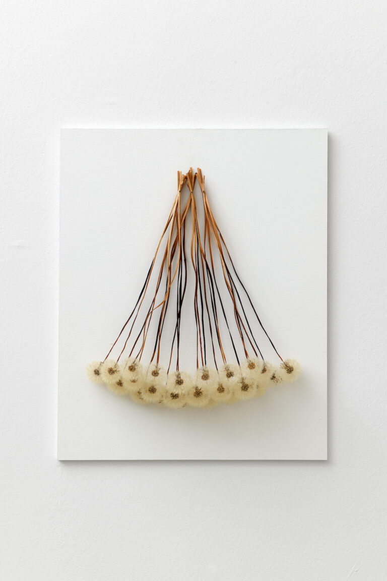 Christiane Löhr, Gehänge (Ciondolo), 2003. Denti di leone, chiodi, 42 × 30 × 21 cm. Photo Michele Alberto Sereni, courtesy Magonza/ © FAI – Fondo per l’Ambiente Italiano