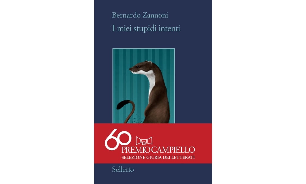 Bernardo Zannoni, I miei stupidi intenti, copertina