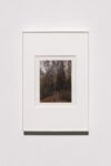Carlo e Fabio Ingrassia, Il bosco sacro, 2018, foto Andrea Rossetti